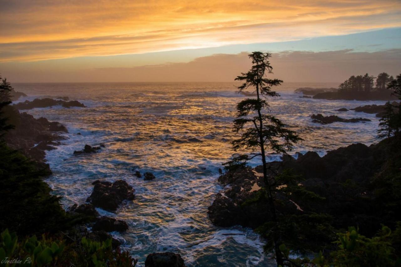 Waterfront Timber Frame Cottage! Ucluelet Exterior foto